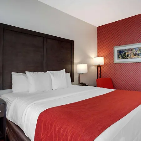 Comfort Inn & Suites Near Stadium-2